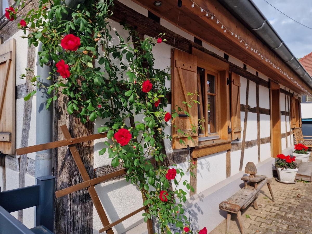Une Maison A Colombages - Cosy, Lumineuse Et Sauna Kesseldorf Exteriör bild